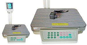 Balanza comercial serviscale