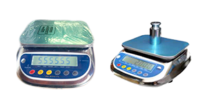 Balanza comercial serviscale